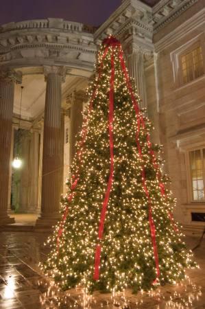 The beautiful South Portico of Memorial Continental Hall hosted the grand outdoor Christmas tree this year which guests could see through the O’Byrne Gallery windows with a view of the Washington Monument in the background.