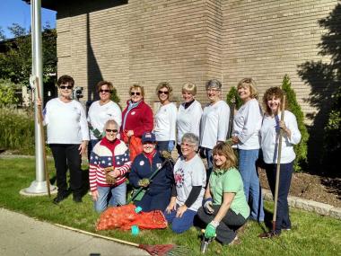 Stoney Creek Chapter planted over 1,300 daffodil bulbs today in Rochester, Michigan for preparation for the Golden Bicentennial Celebration of Rochester in 2017!