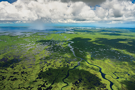 Aerial shot of the Everglades