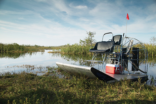 Boat sitting in swamp