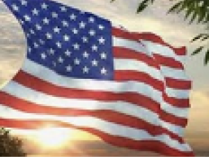 Stars & Stripes Newsletter
