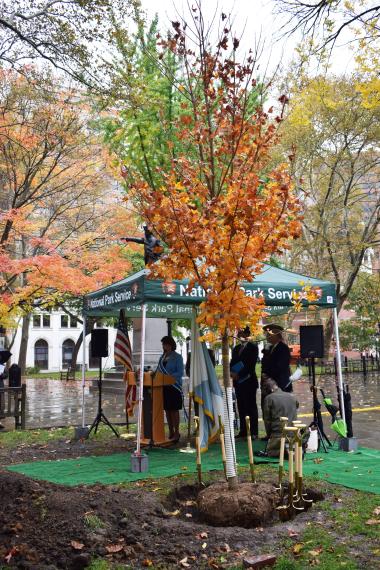 The 76 trees to be planted will include a variety of species, all historically accurate to 18th century Philadelphia. While the first of the trees will be planted in the park directly behind Independence Hall, others will be scattered throughout the 55 acres of the park, planted over the course of several years, anticipating a mature canopy in time for the nation’s Semiquincentennial celebrations in 2026.