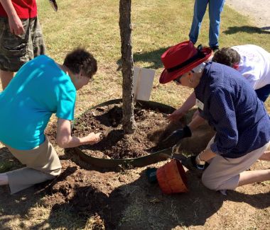 The Teha Lanna Chapter in Stephenville, Texas, gathered on the grounds of the Stephenville Historic Museum on this warm afternoon to plant heirloom and weather-hardy bulbs among the buildings and flowerbeds for the ‪#‎DARDayofService‬. One hundred and twenty five bulbs were purchased in honor of DAR's anniversary and were planted under the guidance of Tarleton Professor and museum board member Dr. Richard Pfau. ‪#‎DARCelebrate125‬