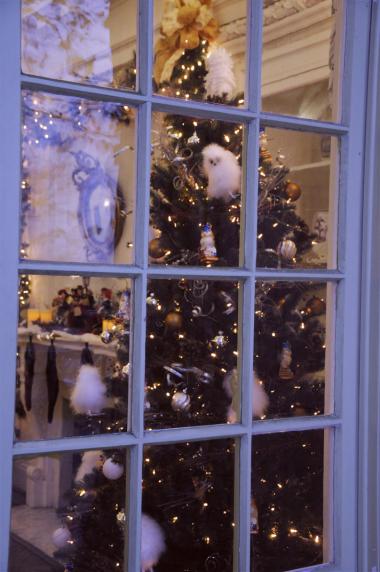 14th Annual DAR Christmas Open House (2015)