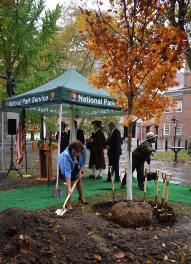 The DAR was the first to add dirt to the new tree’s roots. As First Vice President General Denise VanBuren remarked at the ceremony: “The National Society Daughters of the American Revolution is so very grateful for this opportunity to plant modern-day Liberty Trees that will take root and flourish by 2026. We know that like our nation, they will weather storms, survive droughts, and reach forever upward; like our people, they will branch out and grow stronger with the passage of time; and like our hard