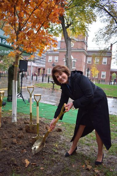 DAR First Vice President General Denise VanBuren getting in one more celebratory shovel at the newest tree in Independence National Historical Park which will continue to be supported by DAR for many years to come.
