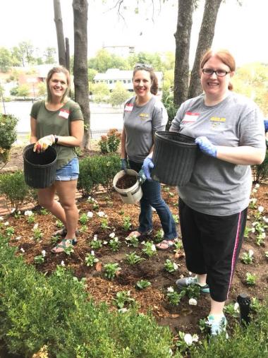 The Cavett Station Chapter, TN, volunteered at the Blount Mansion where they cleaned windows and polished historic pieces in the mansion, mulched flower beds and planted pansies.
