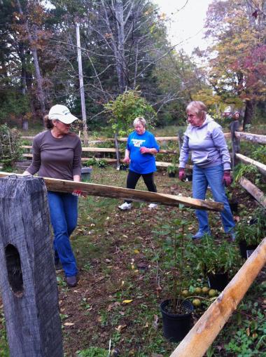 The Roger Sherman Chapter, CT, worked in the Washington Oak Tree Park replacing fence rails, planting 100 bulbs and 29 plants. On September 20, 1780, George Washington held council with his staff in this park.