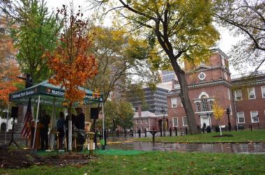 The ceremony took place at the site of the planting of the first of the 76 trees directly behind Independence Hall. Both the orange leaved tree in the forefront as well as the small yellow leaved tree in the background were the first of the DAR trees to be planted.