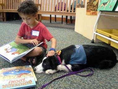 DAR members have been known to work in pairs. Sometimes those pairs have an extra set of legs! Cheri Coley of the Marion Chapter in Arkansas volunteers with her therapy dog, Stormy, with a group called Love on a Leash. Once a week during the school year, they go to an elementary school to visit children who need some extra help with reading skills. In a program called "Sit! Stay! Read!" the children spend time with their friend Stormy reading all sorts of books. Cheri and her partner also go to the Springda