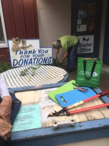 The Mohegan Chapter volunteered to work on the garden beds at the SPCA of Westchester.