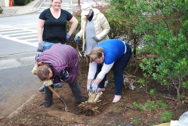 The White Plains Chapter, NY cleaned the Old Washington Oak Tree garden which has a long history with the chapter. On October 28, 1921, the Chapter dedicated a monument at the site of the Historic Old Oak Tree. The inscription on the stone reads, "Near the spot where the old historic white oak stood which was a "line" tree to the Indians and which sheltered Washington and his troops." Then again on March 20, 1928, the Chapter placed an iron and bronze marker.