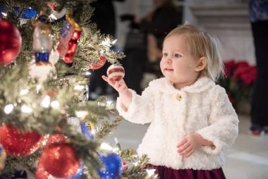18th Annual DAR Christmas Open House (2019)
