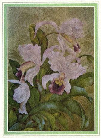 Mrs. Harrison was an avid artist and enjoyed painting orchids and was known for making china painting a popular hobby.